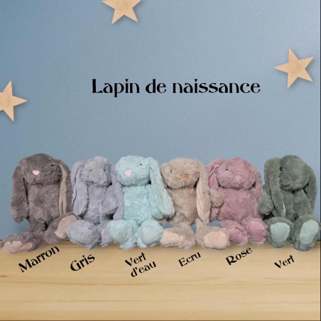 16€ le lapin de naissance (hors envoie ) 6 couleurs différentes