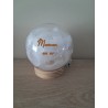 globe  personnalisé plume lumineux